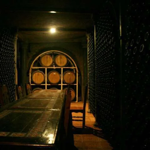 Viñedo Toyan, imagen 2