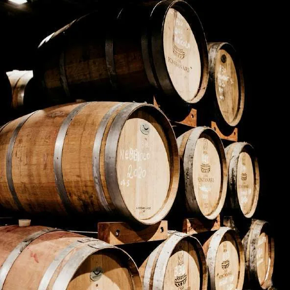 Viñedo Tres Raíces, imagen 4