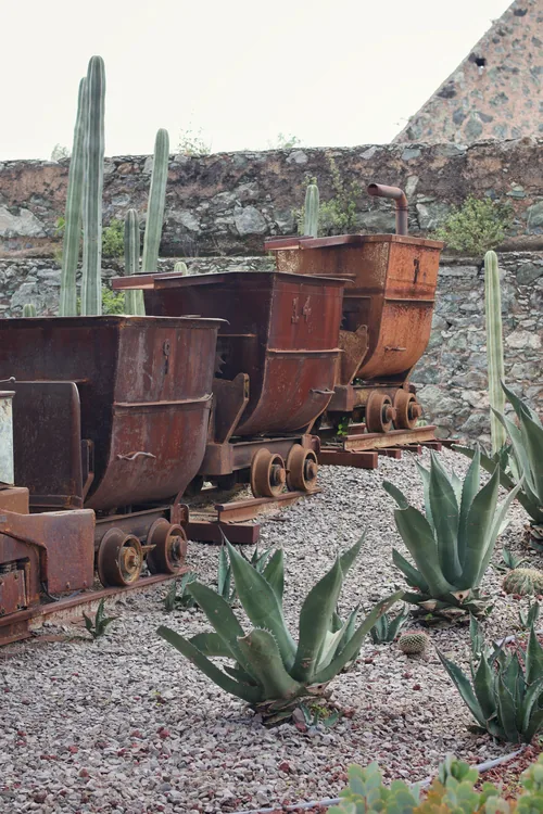 Vagonetas de mina oxidadas entre cactus